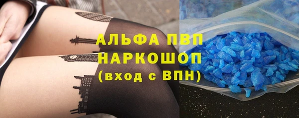 СК Инта