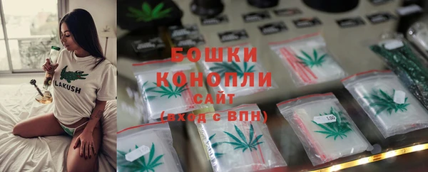 СК Инта