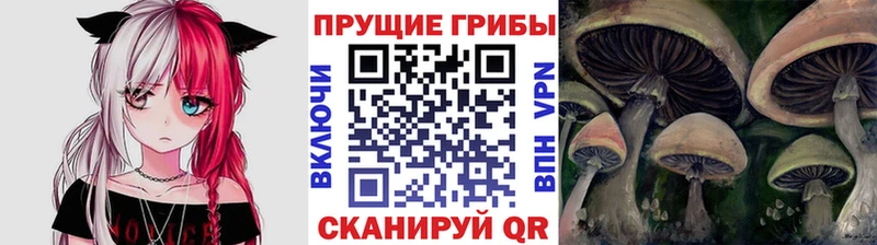 Псилоцибиновые грибы Psilocybe  Гай 
