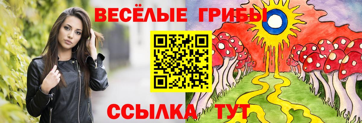 Псилоцибиновые грибы GOLDEN TEACHER Гай