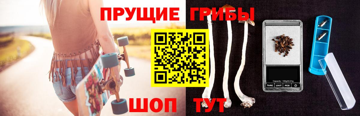 продажа наркотиков  Гай  Псилоцибиновые грибы GOLDEN TEACHER  Галлюциногенные грибы Magic Shrooms 
