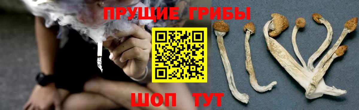 Галлюциногенные грибы GOLDEN TEACHER  Псилоцибиновые грибы Cubensis  Гай  Вход с VPN 